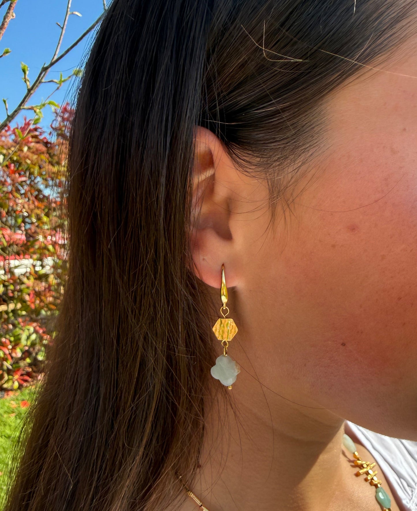 Leilani Earrings in Amazonite
